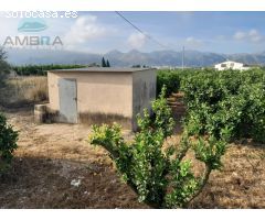 TERRENO CON CASITA DE APEROS