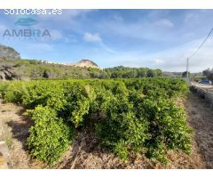 TERRENO CON CASITA DE APEROS
