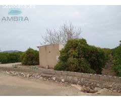 TERRENO DE NARANJOS CON CASETA DE APEROS