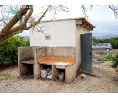 TERRENO DE NARANJOS CON CASETA DE APEROS