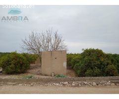 TERRENO DE NARANJOS CON CASETA DE APEROS