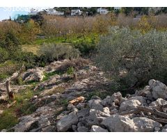 TERRENO RUSTICO CON POSIBILIDAD DE CONSTRUIR 100 METROS