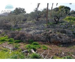 TERRENO RUSTICO CON POSIBILIDAD DE CONSTRUIR 100 METROS