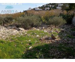 TERRENO RUSTICO CON POSIBILIDAD DE CONSTRUIR 100 METROS
