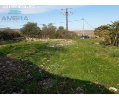 TERRENO RUSTICO CON POSIBILIDAD DE CONSTRUIR 100 METROS