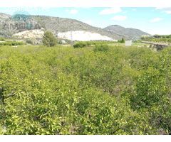 TERRENO RUSTICO EN ADSUBIA