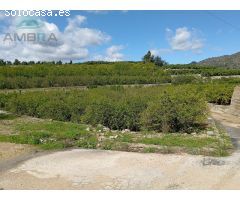 TERRENO RUSTICO EN ADSUBIA