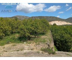 TERRENO RUSTICO EN ADSUBIA