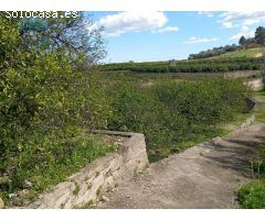 TERRENO RUSTICO EN ADSUBIA