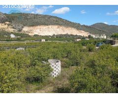 TERRENO RUSTICO PARTIDA MASILS