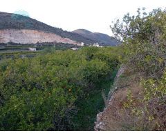 TERRENO RUSTICO PARTIDA MASILS