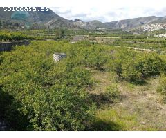 TERRENO RUSTICO PARTIDA MASILS