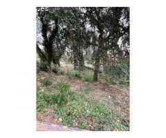 Terreno en Urbanización Selva Brava de Llagostera