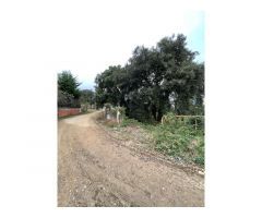 Terreno en Urbanización Selva Brava de Llagostera