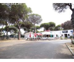 Local y terreno para proyecto en Benamara