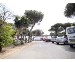 Local y terreno para proyecto en Benamara