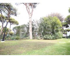 Local y terreno para proyecto en Benamara
