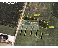 Finca edificable en San Miguel de Reinante