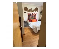 APARTAMENTO EN PLANTA BAJA CON TERRAZA