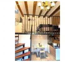 Lote 9 Apartamentos Loft Reformados en el Raval, Barcelona.