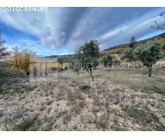 CASA , HUERTO Y TERRENOS EN SANT MIQUEL DE LA VALL