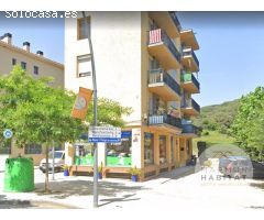 LOCAL COMERCIAL CON INQUILINO