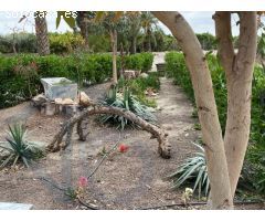 La Campana / Finca rustica
