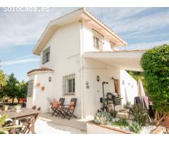 REDUCIDA! FINCA DE REGADÍO CON CASA PRECIOSA EN ZONA TRANQUILA