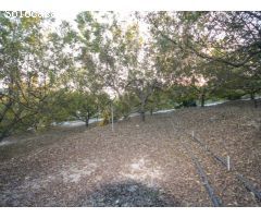 FINCA CON PISCINA Y ALMACENES