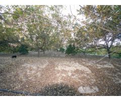 FINCA CON PISCINA Y ALMACENES