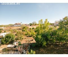 PRECIOSA FINCA CON CASA AL LADO DEL PUEBLO