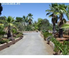 ENCANTADORA FINCA CON DOS CASAS Y DOS APARTAMENTOS