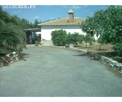 ENCANTADORA FINCA CON DOS CASAS Y DOS APARTAMENTOS