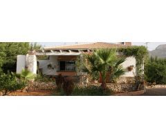 ENCANTADORA FINCA CON DOS CASAS Y DOS APARTAMENTOS