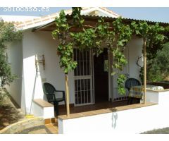 ENCANTADORA FINCA CON DOS CASAS Y DOS APARTAMENTOS