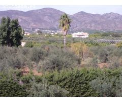ENCANTADORA FINCA CON DOS CASAS Y DOS APARTAMENTOS