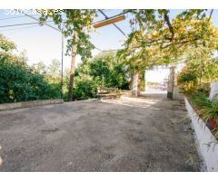 PRECIOSA FINCA AL LADO DEL PUEBLO
