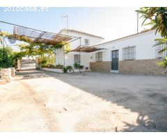 PRECIOSA FINCA AL LADO DEL PUEBLO