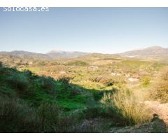 GRAN FINCA PARA PRODUCCION DE AGUACATES