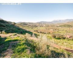 GRAN FINCA PARA PRODUCCION DE AGUACATES