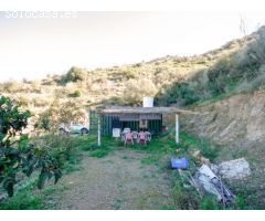 GRAN FINCA PARA PRODUCCION DE AGUACATES