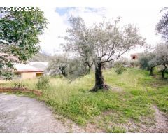 PRECIOSA FINCA CON BUEN ACCESO