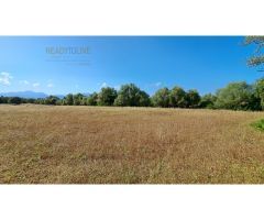 FINCA RUSTICA PARA CONSTRIUR SU CASA DE CAMPO