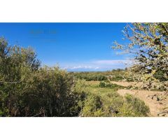 FINCA RUSTICA PARA CONSTRIUR SU CASA DE CAMPO