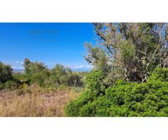 FINCA RUSTICA PARA CONSTRIUR SU CASA DE CAMPO