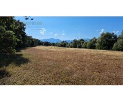 FINCA RUSTICA PARA CONSTRIUR SU CASA DE CAMPO