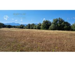 FINCA RUSTICA PARA CONSTRIUR SU CASA DE CAMPO