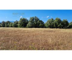FINCA RUSTICA PARA CONSTRIUR SU CASA DE CAMPO