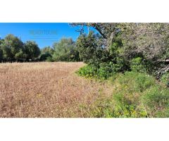 FINCA RUSTICA PARA CONSTRIUR SU CASA DE CAMPO
