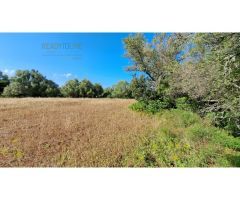 FINCA RUSTICA PARA CONSTRIUR SU CASA DE CAMPO